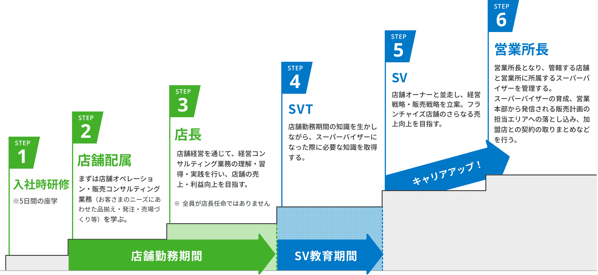 STEP1入社時研修 STEP2店舗配属 STEP3店長 STEP4SVT STEP5SV STEP6営業所長
