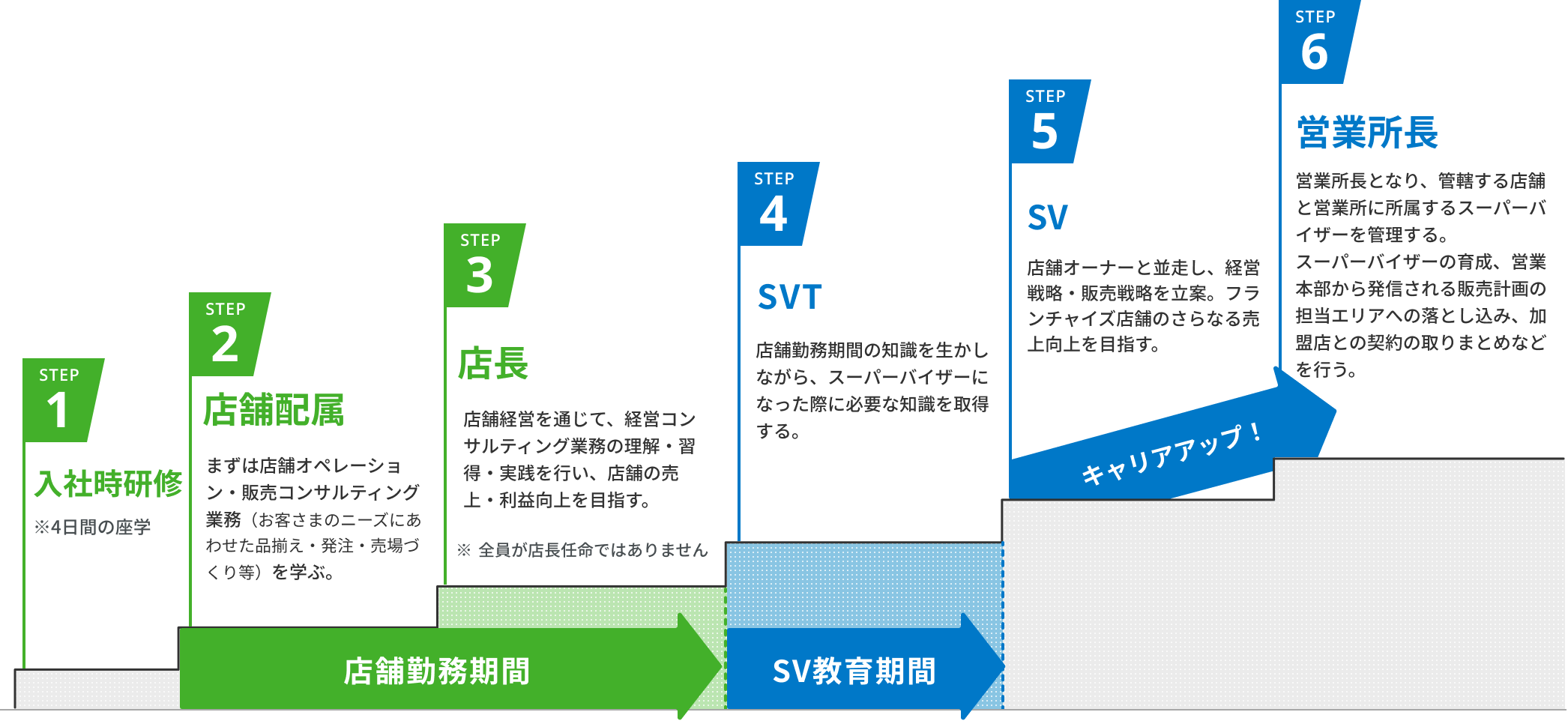 STEP1 入社時研修、 STEP2 店舗配属、 STEP3 店長、 STEP4 SVT、 STEP5 SV、 STEP6 営業所長。