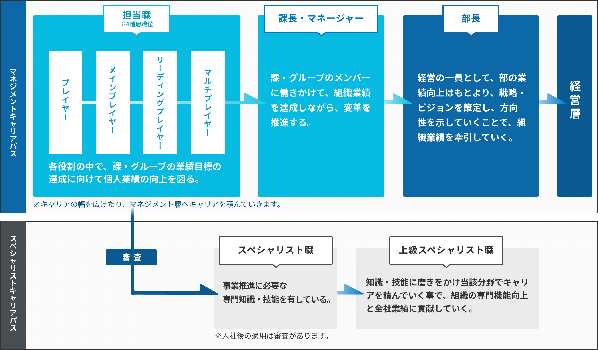 マネジメントキャリアパス：担当職→課長・マネージャー→部長→経営層 スペシャリストキャリアパス：担当職からの審査によりスペシャリスト職→上級スペシャリスト職